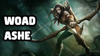 WOAD ASHE SKIN SPOTLIGHT  LEAGUE OF LEGENDS [upl. by Eitisahc]