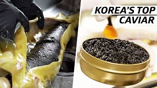 How Cheol Hong Park Produces Some of Koreas Finest Caviar — Vendors [upl. by Adnilreh]