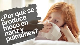 ¿Por qué se produce moco en nariz y pulmones [upl. by Marjie]