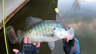 CRAPPIE Fishing With JIG amp BOBBER From The BANK‼️ CRAZY Double Jig Rig Action [upl. by Ihab]