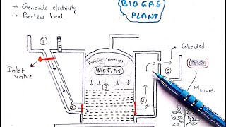 Methane production  Biogas plant  Working  Mechanism  Methanogens  Biogas production [upl. by Sayre290]