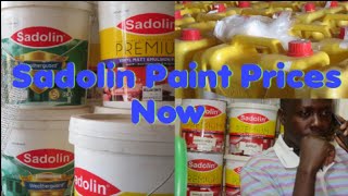 Sadolin Paint 2023 PricesTypesPainting Advise amp A Message To Everyonepaintingconstructionafrica [upl. by Elrem518]