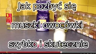 Jak pozbyć się muszki owocówki szybko i skutecznie [upl. by Latreese410]