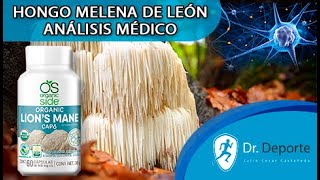 HONGO MELENA DE LEÓN QUE ES Y PARA QUE SIRVE ANALSIS MÉDICO [upl. by Leemaj567]