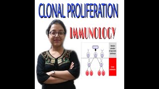 CLONAL PROLIFERATION IMMUNOLOGY [upl. by Youngran]