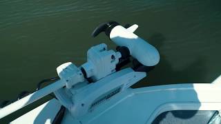 Watch this before BUYING a trolling motor  Comparison [upl. by Cathyleen683]