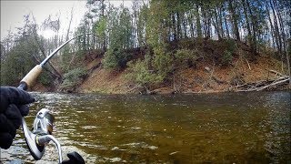 Steelhead Fishing the Easiest Rig Ever [upl. by Naomi]