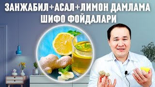 ИМБИРЬ АСАЛ ЛИМОН ТАБИИЙ ДАМЛАМА ШИФО ФОЙДАЛАРИ ХАҚИДА [upl. by Sadye]