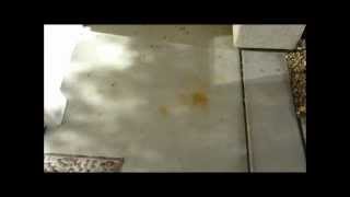 F9 BARC Rust Remover Training How to Remove Rust Stains on Concrete From Metal [upl. by Ettedranreb]