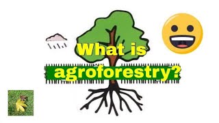 What is Agroforestry [upl. by Heddi480]