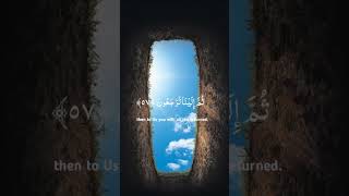 Quran al Kareem ayat foryou islamicstatus quranshareef muslimcontent video viralvideo [upl. by Icram226]