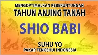 Ramalan Shio Babi di Tahun Anjing Tanah 2569 2018 M [upl. by Eisler]