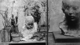 The Pulitzer Arts Foundation Shines a Light on the Art of Medardo Rosso HECTV Scope [upl. by Polad894]