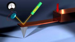 Virus Nanoindentation by AFM [upl. by Waller146]