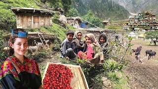 Unseen Pakistani Village Life at Top of Coldest Mountain  Ancient Culture  Stunning Pakistan [upl. by Hull822]