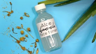 Aloe Chamomile Face Toner  OilyAcne Skin Ι TaraLee [upl. by Nyvlem]