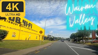 Auckland Drive  Greenlane to Wairau Park  Central Auckland  4K [upl. by Noled]