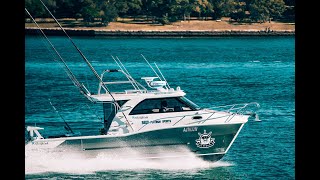 KITTED CAT – Sailfish 3200 Platinum Sports [upl. by Springer]