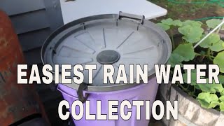 Self Filling Filtered Rain Barrel for Your Garden DIY [upl. by Dominus]