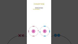 GCSE Chemistry Revision  Types of Bonding [upl. by Nyltyak]