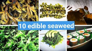 10 types of edible seaweed [upl. by Amelina]