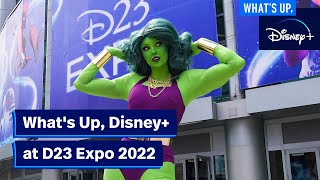 D23 Expo 2022  Whats Up Disney [upl. by Telford]