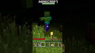 Minecraft vs Minecraft Xbox 360 Edition  EatingHealing Comparison minecraft [upl. by Tatianna261]