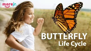 The Butterfly Life Cycle [upl. by Enaira]