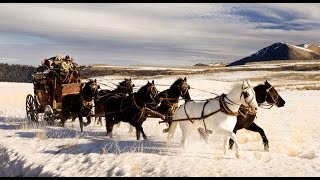 Hateful 8 Trailer  שמונת השנואים טריילר בעברית [upl. by Grannias]