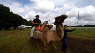 Championnat de France de course de dromadaires dans la Sarthe [upl. by Frame417]