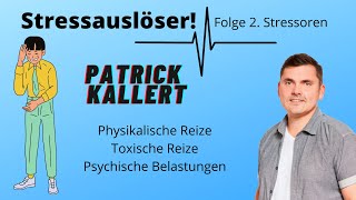 Auslöser von Stressreaktionen Stressoren Folge 2 [upl. by Kinom138]