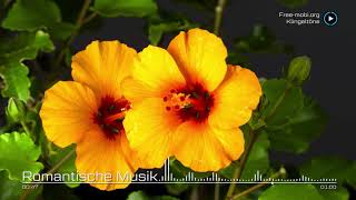 Romantische Musik  Klingelton Weckerton [upl. by Franklyn]