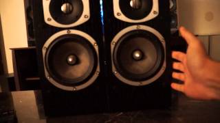 Paradigm Reference Studio 40 v2 Speakers amp Martin Logan Subwoofer Demo Display [upl. by Towne]