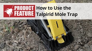 How to use the Talpirid Mole Trap  DoMyOwncom [upl. by Llertnom503]