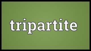 Tripartite Meaning [upl. by Annekam655]