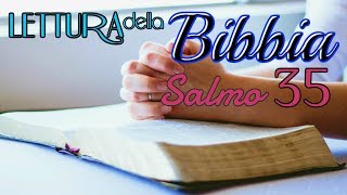 bibbia audio in italiano SALMO 35 [upl. by Heti912]