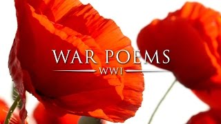 In Flanders Fields by John McCrae  World War Poems [upl. by Aisinoid]