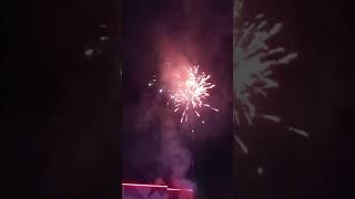 Damodar City Labasa Fireworks 2024 [upl. by Roydd]