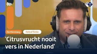 Hoe vers zijn onze mandarijnen eigenlijk écht  Feit of Fictie  NPO Radio 1 [upl. by Borroff]