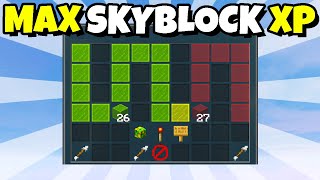 The FASTEST Way to Get Skyblock XP Hypixel Skyblock News [upl. by Eulau]