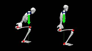 Basics of Lifting Mechanics [upl. by Ilatfen226]