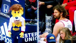 Rocky Highlights 2019  Denver Nuggets [upl. by Orecul951]