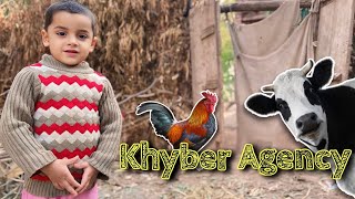 Khyber Agency  Village Life  IRSHAD 91 [upl. by Boatwright]