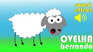 Som da ovelha berrando screaming sheep sound effects  animais da fazenda cordeiro carneiro [upl. by Jacqui]