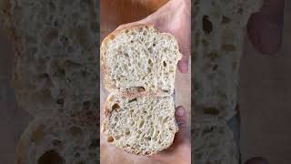 happybaking 🍞🌾 sourdough breadcrumb healthybitesep2024 onceicook sourdoughstarter [upl. by Hanyaz]