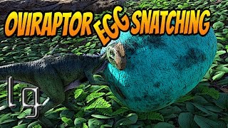 ARK Survival Evolved  How to Snatch Eggs With Oviraptor [upl. by Ueihtam]