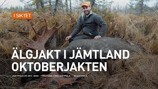 Älgjakt i jämtland  Oktoberjakten [upl. by Desta]