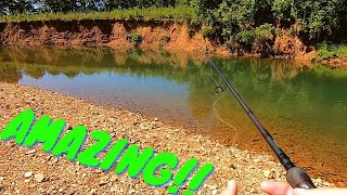 Fishing an INCREDIBLE Creek for Big Smallmouth and Rock Bass PB [upl. by Nagah910]