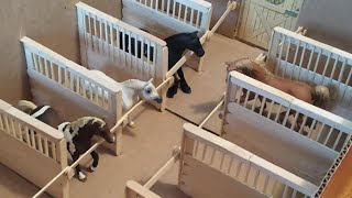 How to make Schleich  Breyer Horse Stall Dividers for a Box Barn [upl. by Nenney]