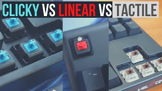 Clicky Vs Tactile Vs Linear Mechanical Keyboard Switches with Sound Tests And Examples [upl. by Rhodie]